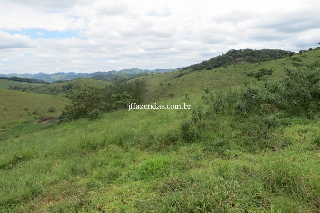Fazenda em Piau/MG com 156,47.93 hectares Fazenda em Piau/MG com 156,47.93 hectares