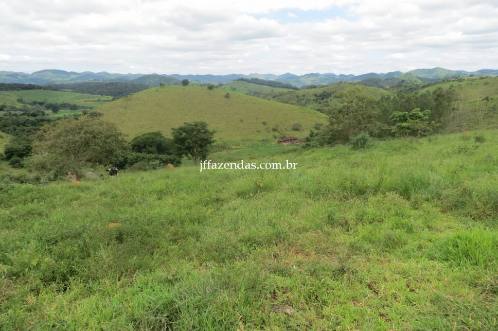 Fazenda em Piau/MG com 156,47.93 hectares Fazenda em Piau/MG com 156,47.93 hectares