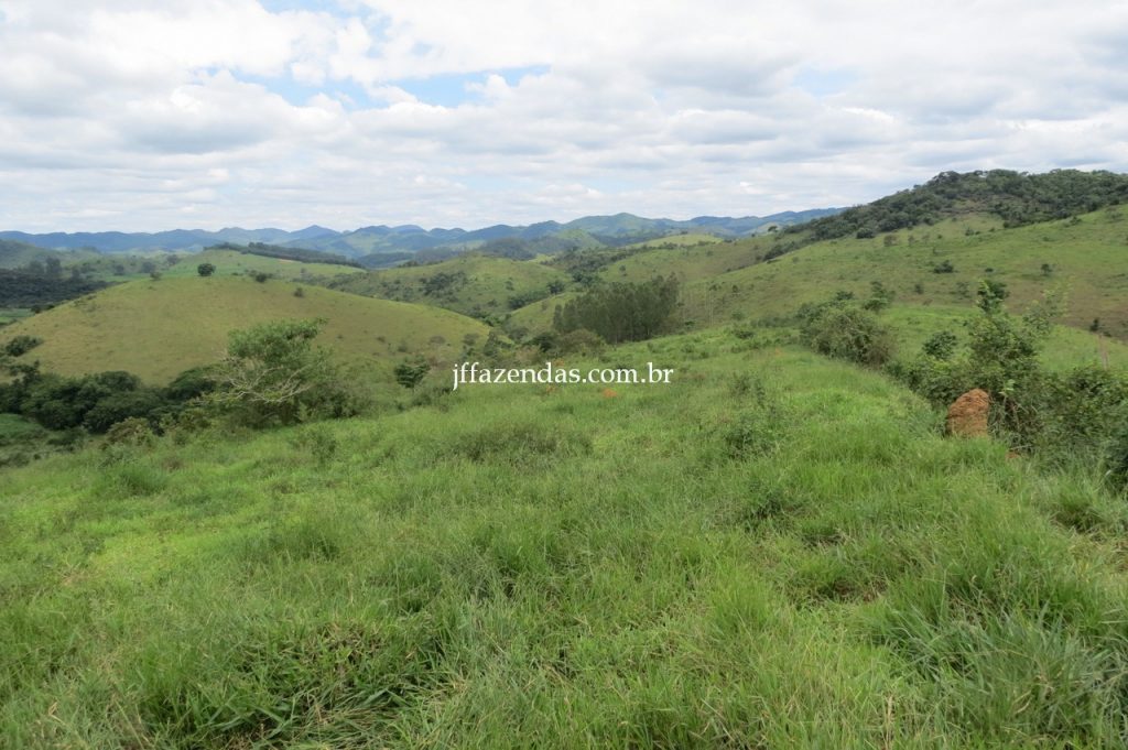 Fazenda em Piau/MG com 156,47.93 hectares Fazenda em Piau/MG com 156,47.93 hectares