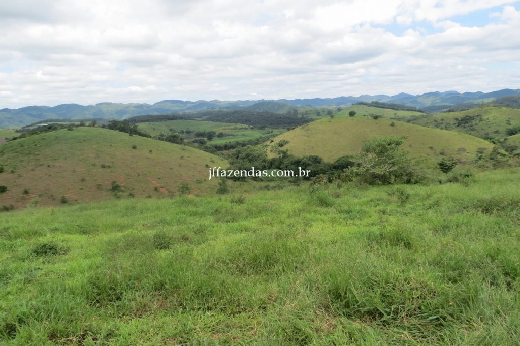 Fazenda em Piau/MG com 156,47.93 hectares Fazenda em Piau/MG com 156,47.93 hectares