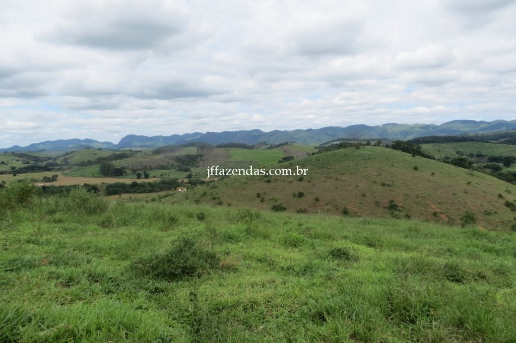 Fazenda em Piau/MG com 156,47.93 hectares Fazenda em Piau/MG com 156,47.93 hectares