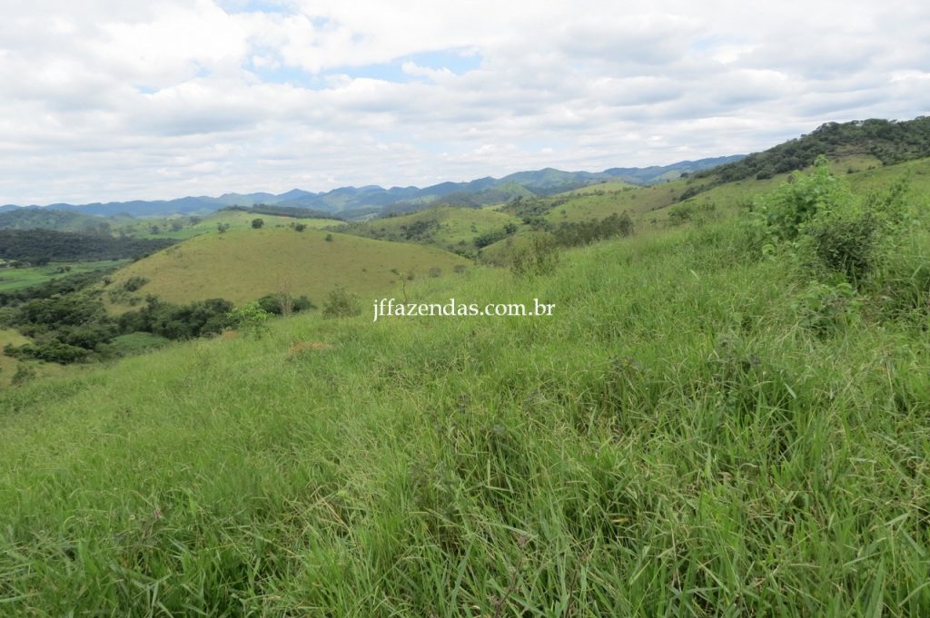 Fazenda em Piau/MG com 156,47.93 hectares Fazenda em Piau/MG com 156,47.93 hectares