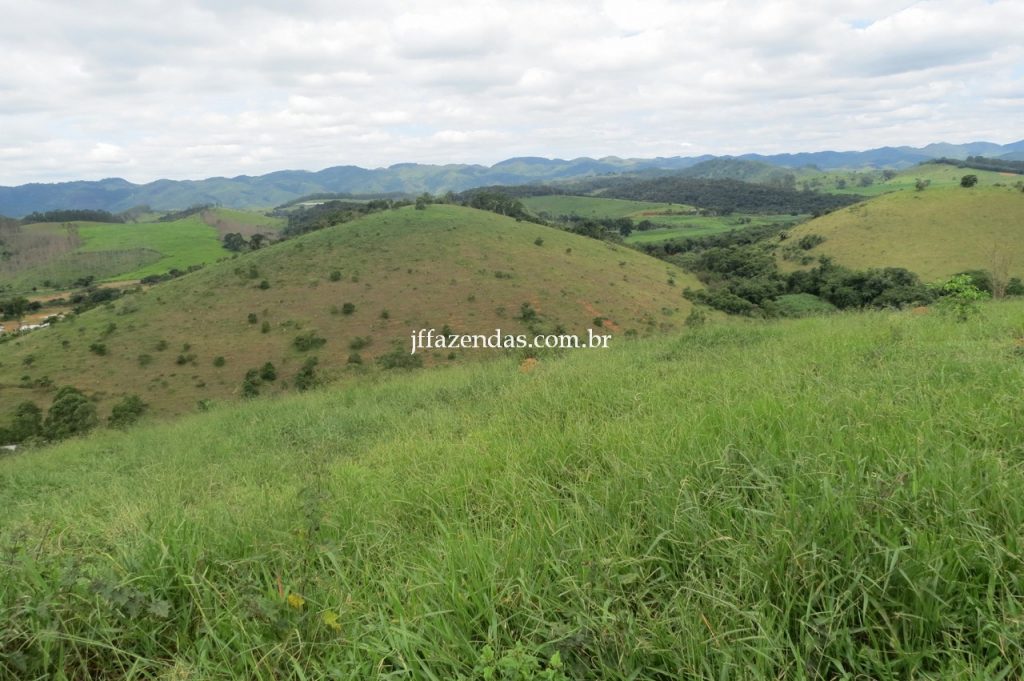 Fazenda em Piau/MG com 156,47.93 hectares Fazenda em Piau/MG com 156,47.93 hectares