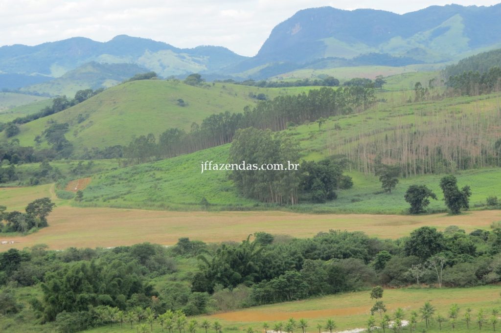 Fazenda em Piau/MG com 156,47.93 hectares Fazenda em Piau/MG com 156,47.93 hectares