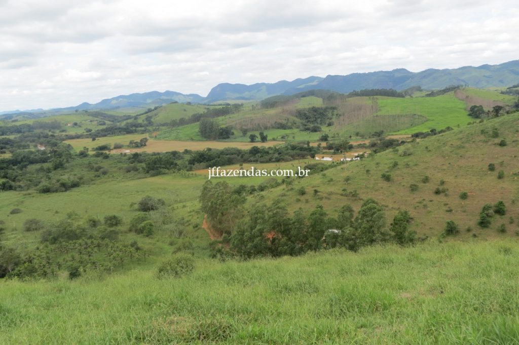 Fazenda em Piau/MG com 156,47.93 hectares Fazenda em Piau/MG com 156,47.93 hectares