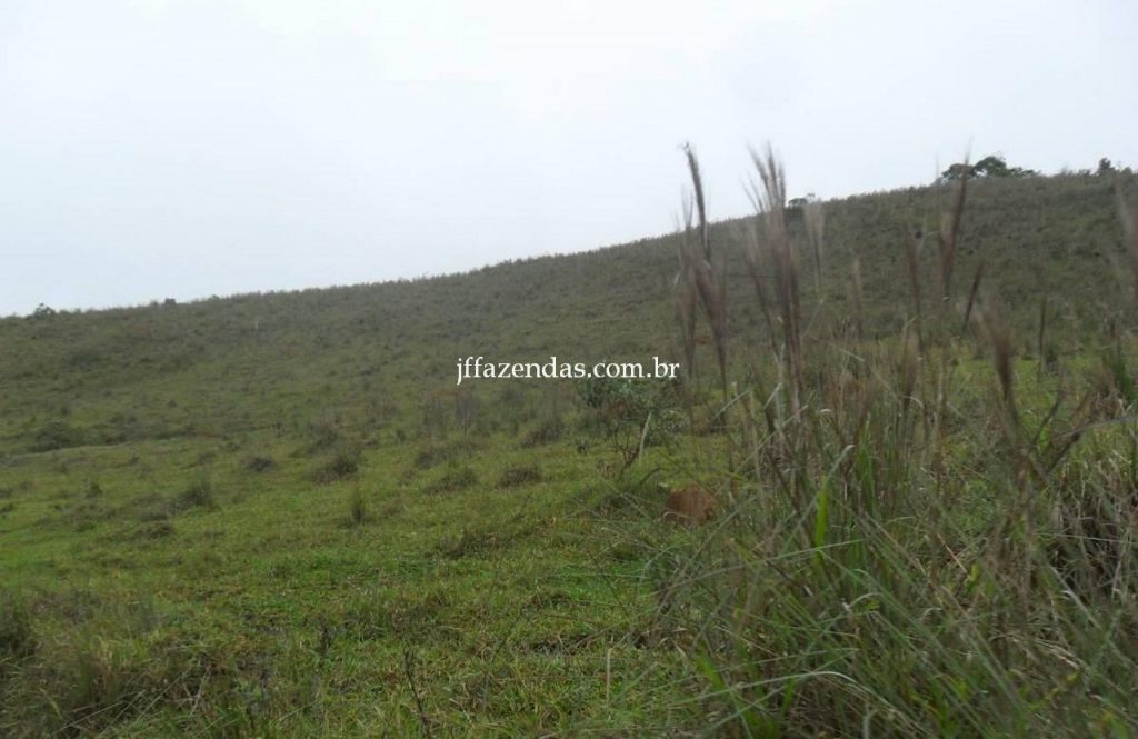Fazenda em Juiz de Fora/MG – 288 hectares Fazenda em Juiz de Fora/MG – 288 hectares