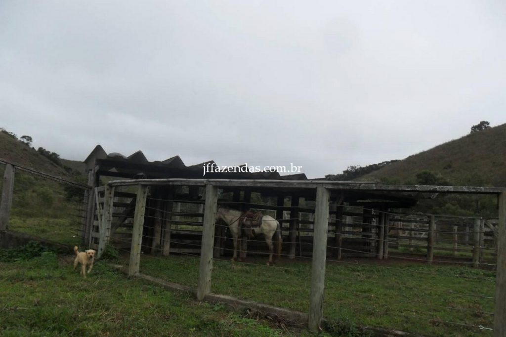 Fazenda em Juiz de Fora/MG – 288 hectares Fazenda em Juiz de Fora/MG – 288 hectares