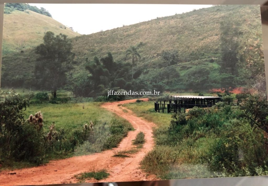 Fazenda em Juiz de Fora/MG – 288 hectares Fazenda em Juiz de Fora/MG – 288 hectares