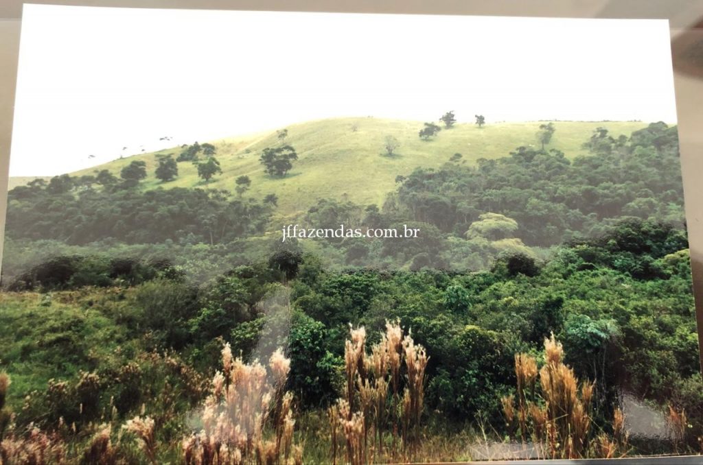 Fazenda em Juiz de Fora/MG – 288 hectares Fazenda em Juiz de Fora/MG – 288 hectares