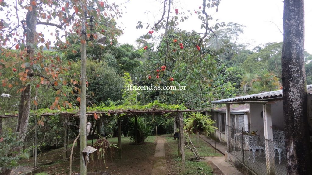 Granja em Matias Barbosa- MG – 1500 m² Granja em Matias Barbosa- MG – 1500 m²