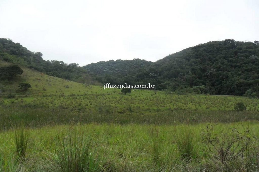Fazenda em Juiz de Fora/MG – 288 hectares Fazenda em Juiz de Fora/MG – 288 hectares