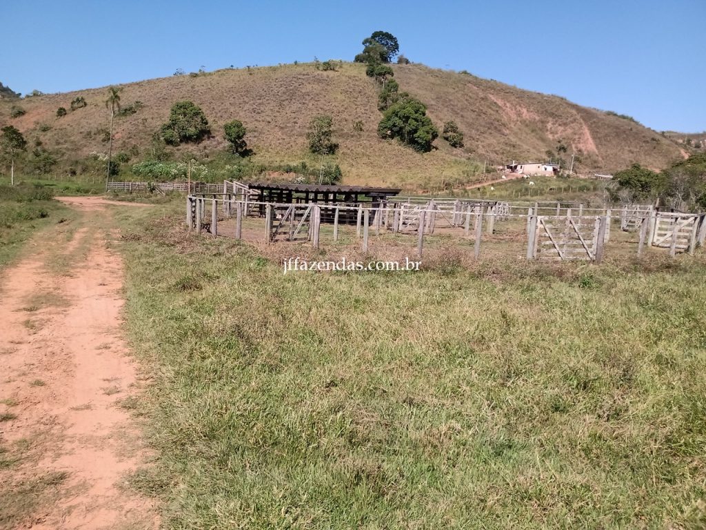 Fazenda em Juiz de Fora/MG – 288 hectares Fazenda em Juiz de Fora/MG – 288 hectares