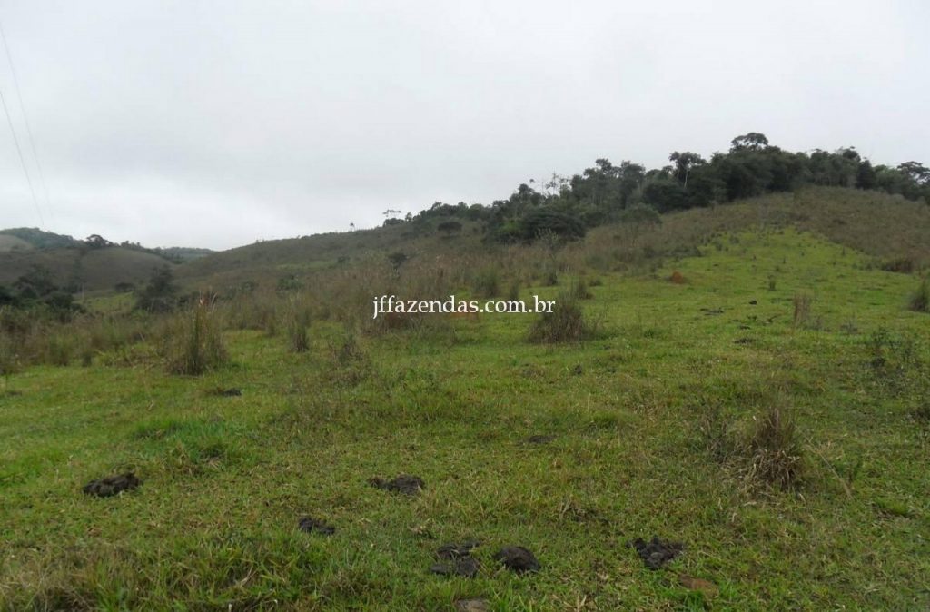 Fazenda em Juiz de Fora/MG – 288 hectares Fazenda em Juiz de Fora/MG – 288 hectares