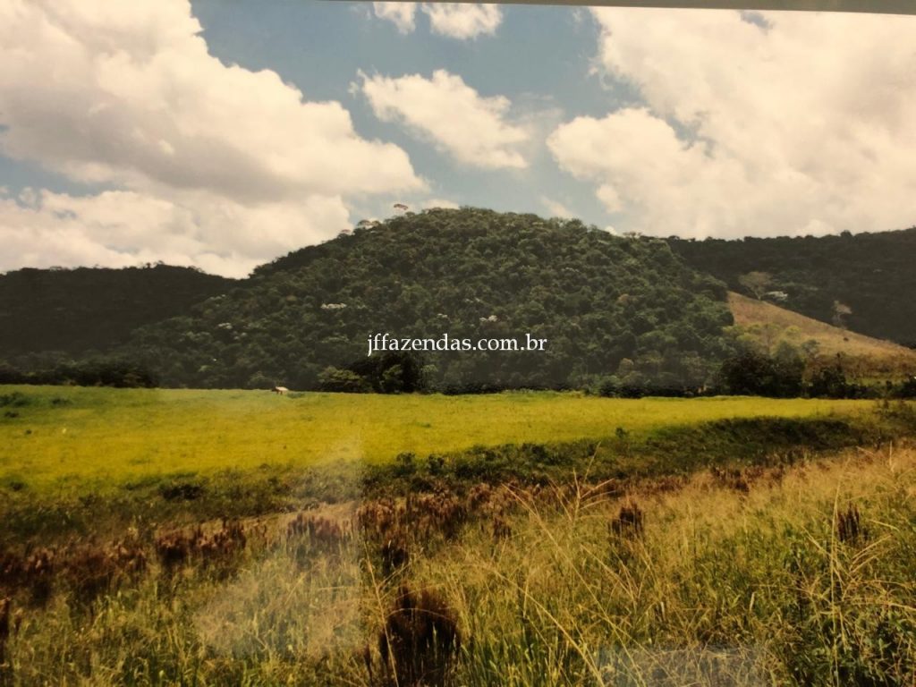 Fazenda em Juiz de Fora/MG – 288 hectares Fazenda em Juiz de Fora/MG – 288 hectares
