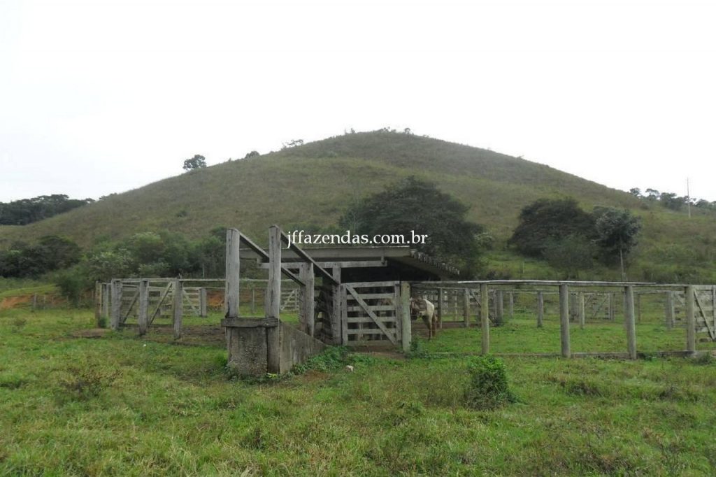 Fazenda em Juiz de Fora/MG – 288 hectares Fazenda em Juiz de Fora/MG – 288 hectares