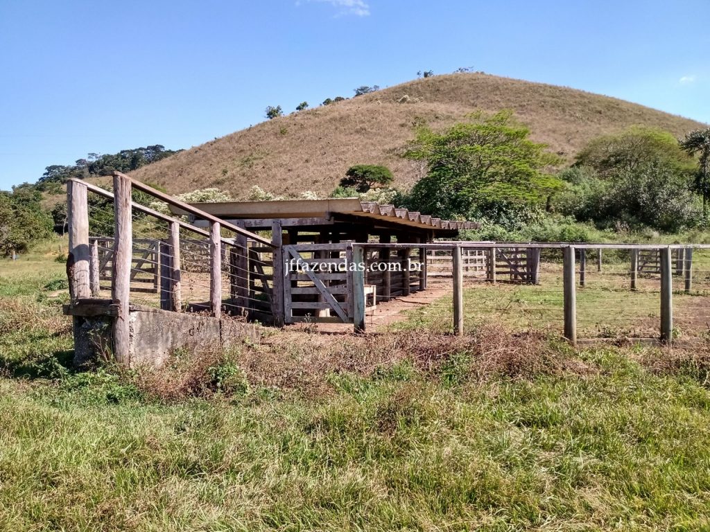 Fazenda em Juiz de Fora/MG – 288 hectares Fazenda em Juiz de Fora/MG – 288 hectares