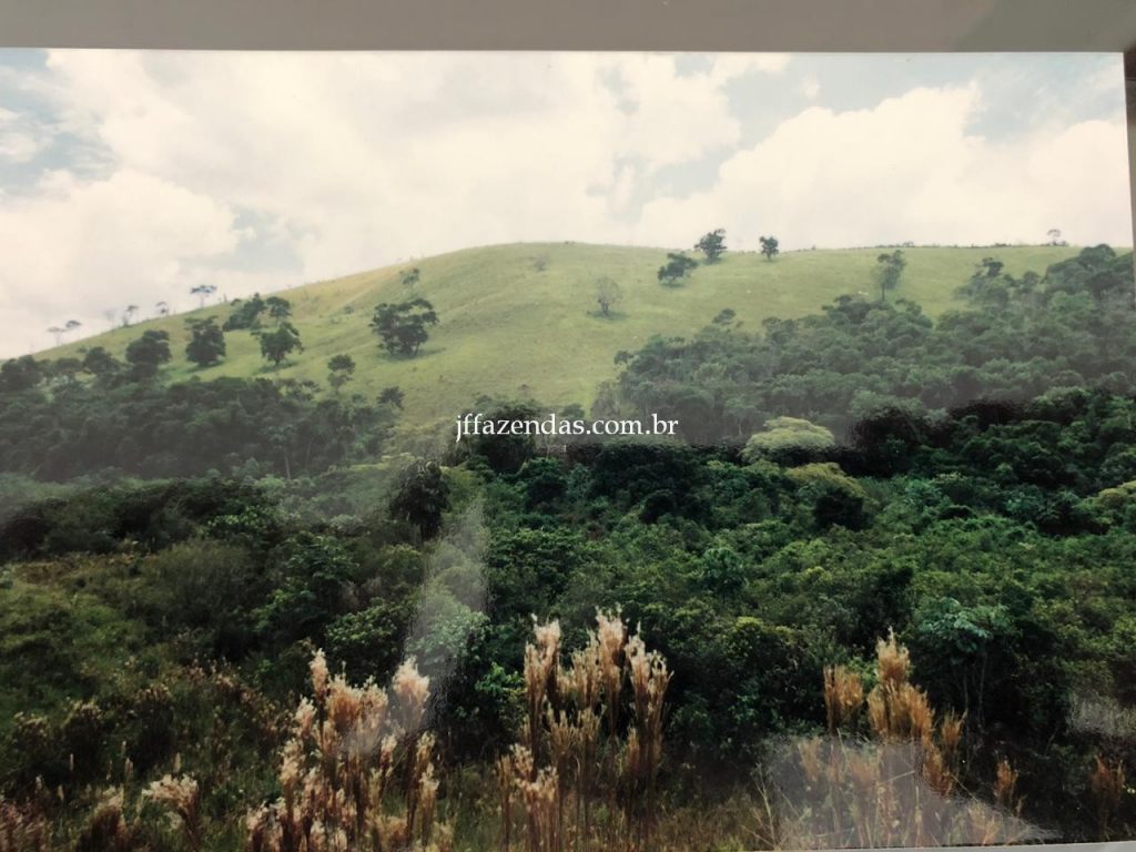 Fazenda em Juiz de Fora/MG – 288 hectares Fazenda em Juiz de Fora/MG – 288 hectares