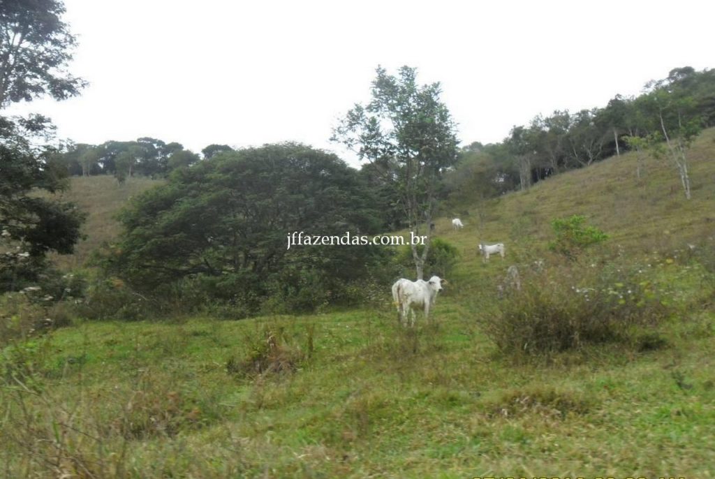 Fazenda em Juiz de Fora/MG – 288 hectares Fazenda em Juiz de Fora/MG – 288 hectares
