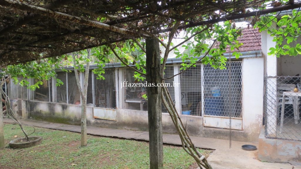 Granja em Matias Barbosa- MG – 1500 m² Granja em Matias Barbosa- MG – 1500 m²