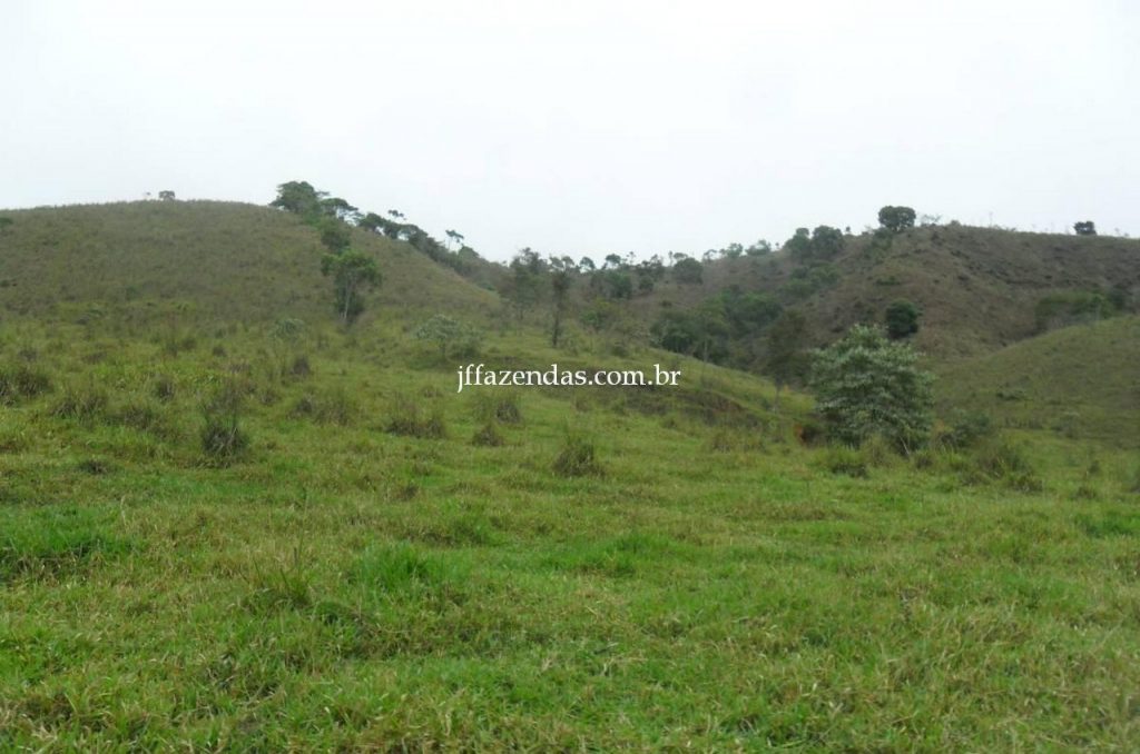 Fazenda em Juiz de Fora/MG – 288 hectares Fazenda em Juiz de Fora/MG – 288 hectares