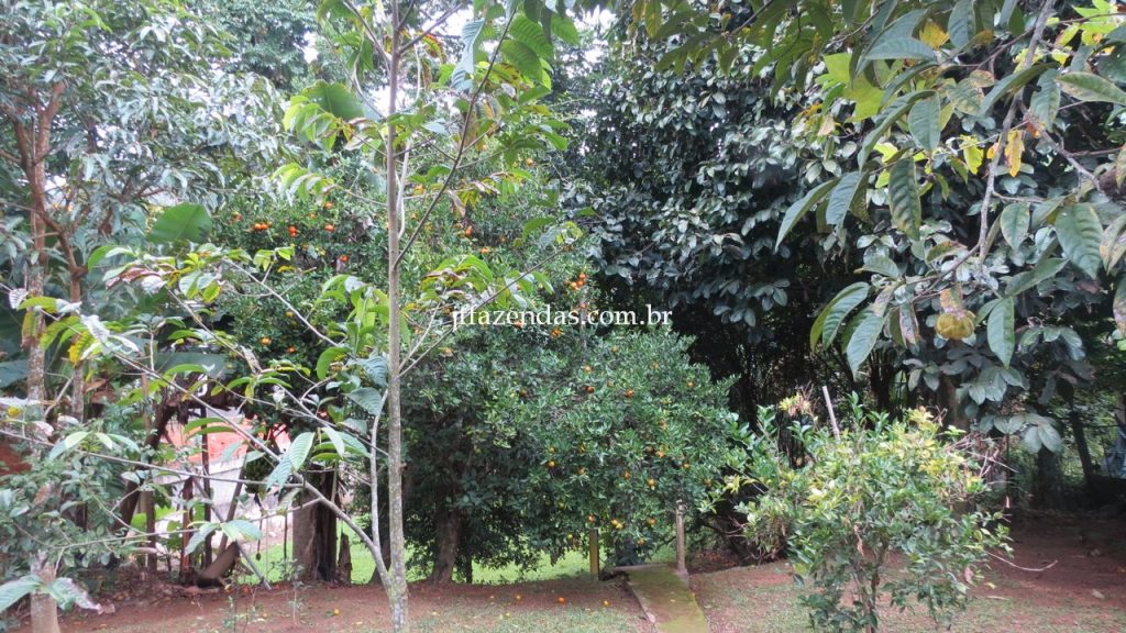 Granja em Matias Barbosa- MG – 1500 m² Granja em Matias Barbosa- MG – 1500 m²