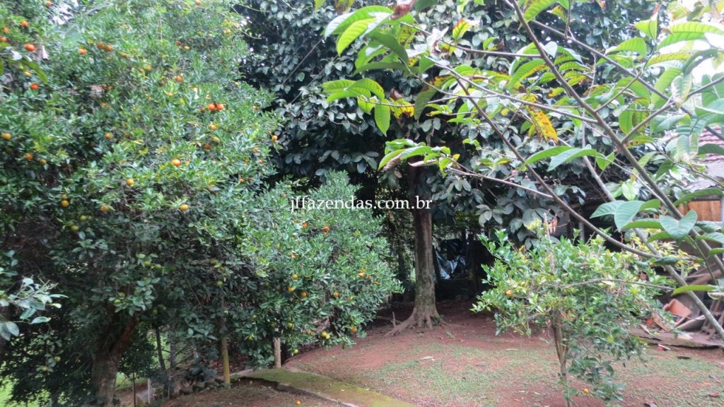 Granja em Matias Barbosa- MG – 1500 m² Granja em Matias Barbosa- MG – 1500 m²