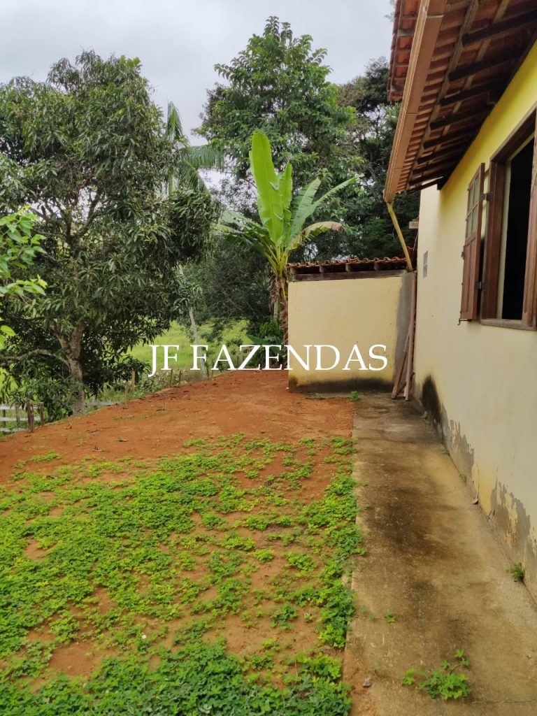 Sítio em Goianá – MG – 5 hectares Sítio em Goianá – MG – 5 hectares
