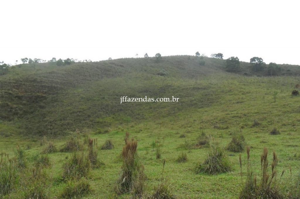 Fazenda em Juiz de Fora/MG – 288 hectares Fazenda em Juiz de Fora/MG – 288 hectares
