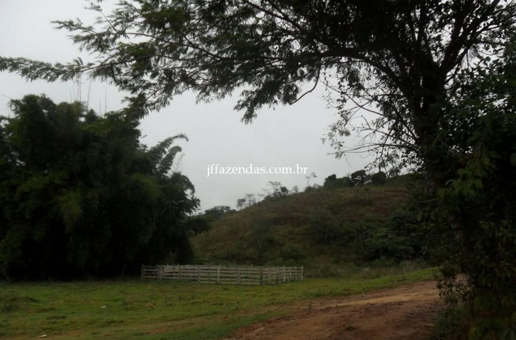 Fazenda em Juiz de Fora/MG – 288 hectares Fazenda em Juiz de Fora/MG – 288 hectares