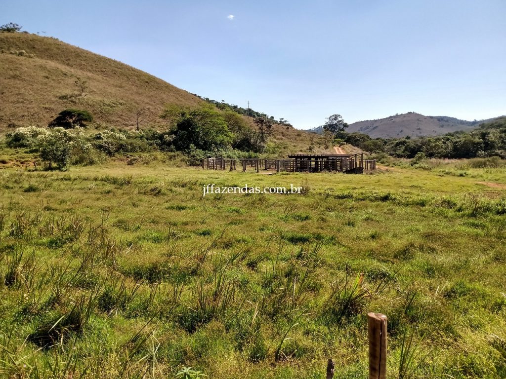 Fazenda em Juiz de Fora/MG – 288 hectares Fazenda em Juiz de Fora/MG – 288 hectares