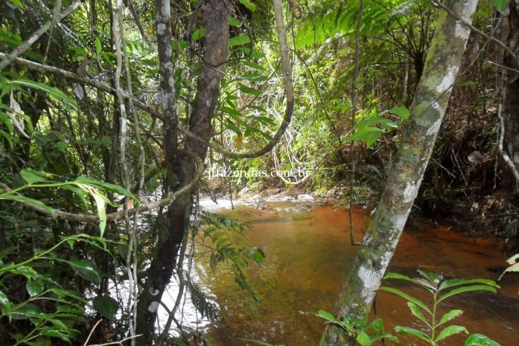 Fazenda em Juiz de Fora/MG – 288 hectares Fazenda em Juiz de Fora/MG – 288 hectares