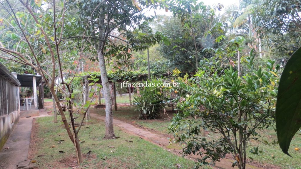 Granja em Matias Barbosa- MG – 1500 m² Granja em Matias Barbosa- MG – 1500 m²