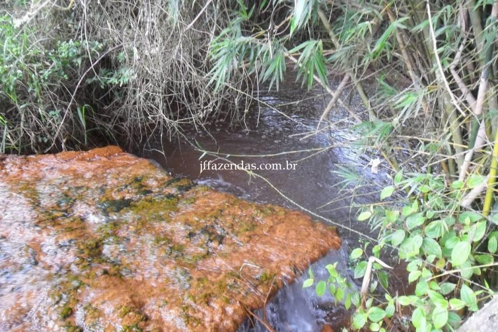 Fazenda em Juiz de Fora/MG – 288 hectares Fazenda em Juiz de Fora/MG – 288 hectares