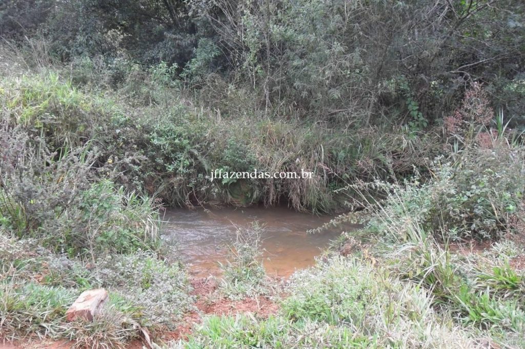 Fazenda em Juiz de Fora/MG – 288 hectares Fazenda em Juiz de Fora/MG – 288 hectares