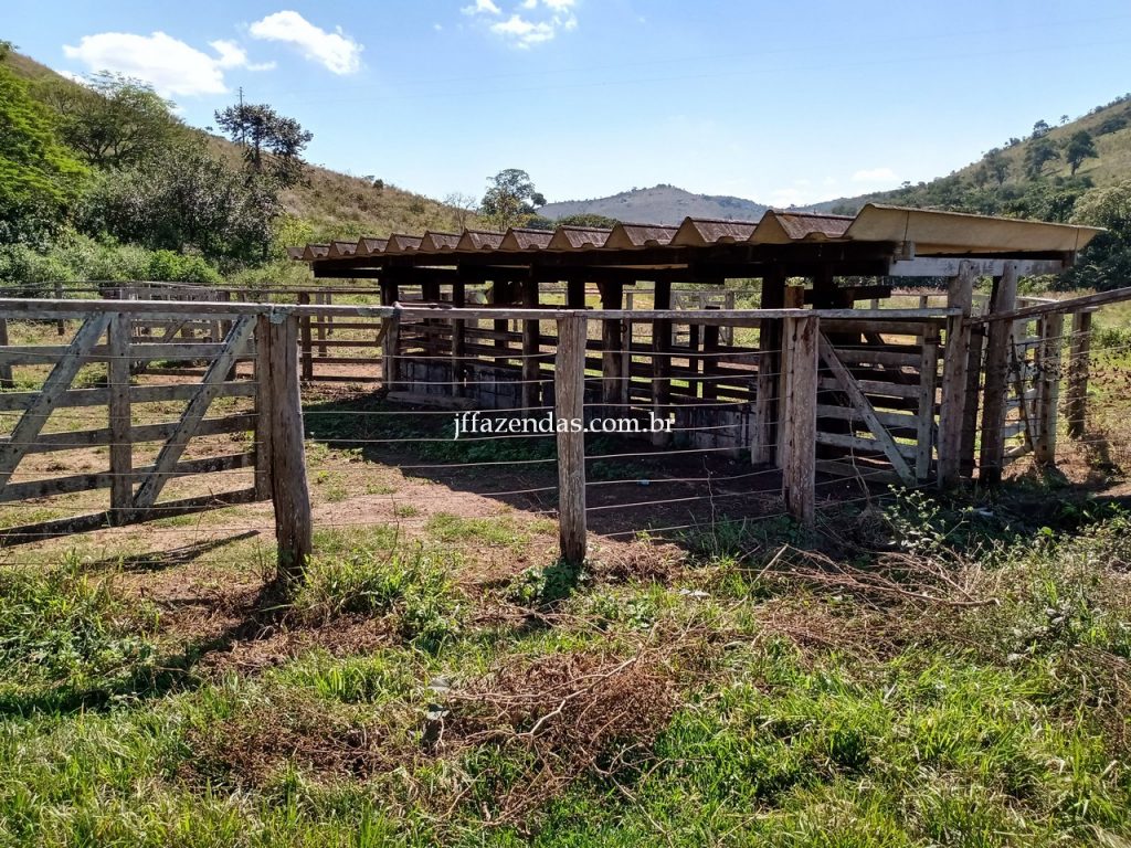 Fazenda em Juiz de Fora/MG – 288 hectares Fazenda em Juiz de Fora/MG – 288 hectares