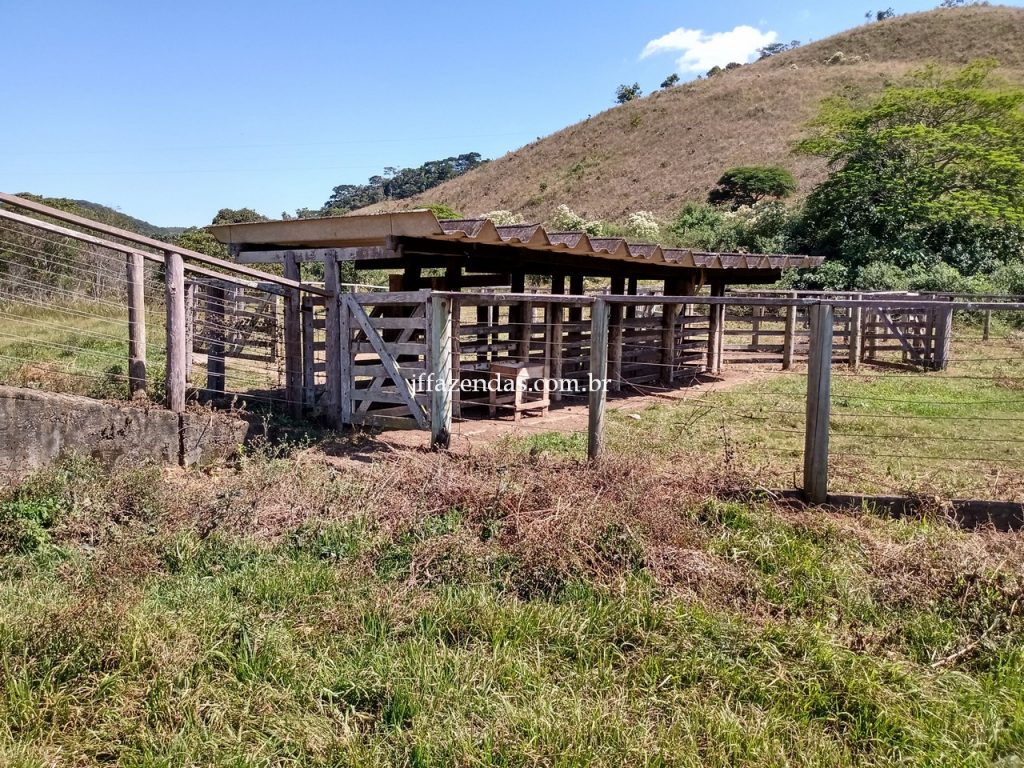 Fazenda em Juiz de Fora/MG – 288 hectares Fazenda em Juiz de Fora/MG – 288 hectares