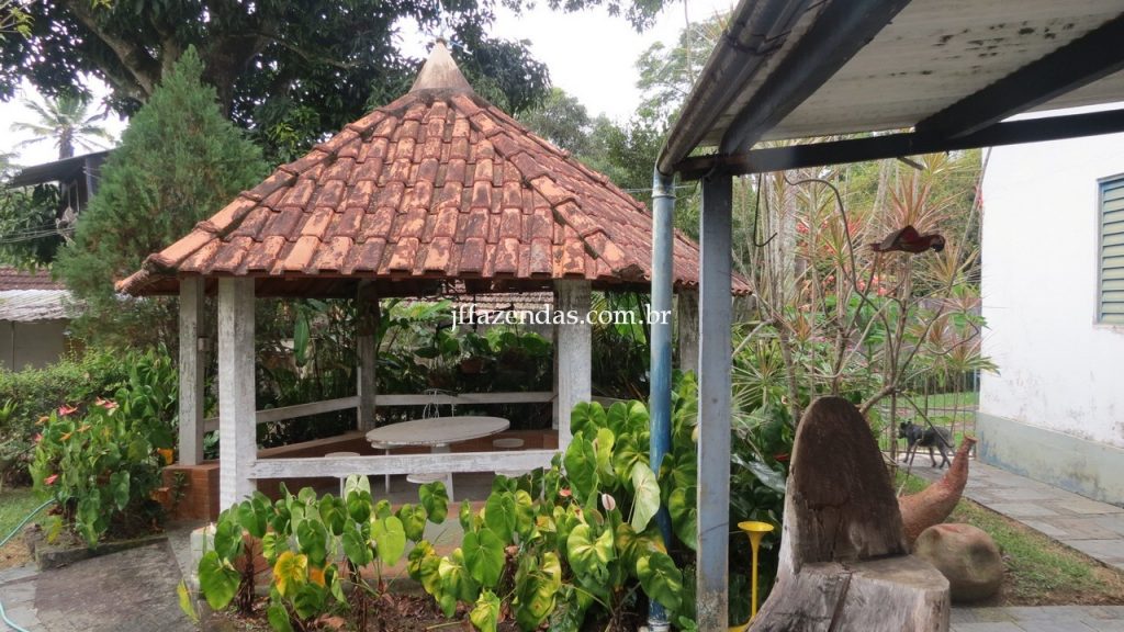 Granja em Matias Barbosa- MG – 1500 m² Granja em Matias Barbosa- MG – 1500 m²