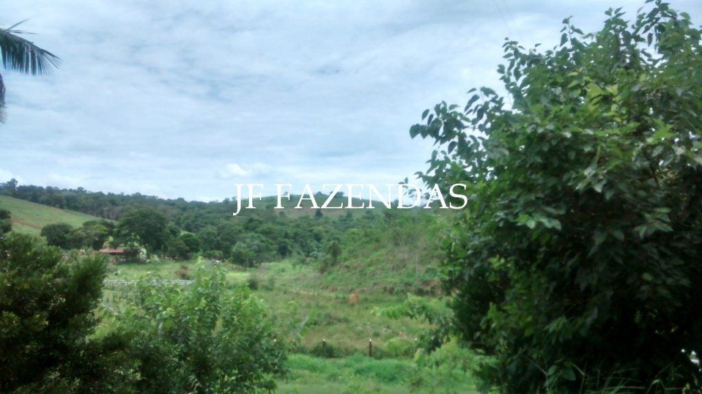 Sítio em Goianá – MG – 5 hectares Sítio em Goianá – MG – 5 hectares