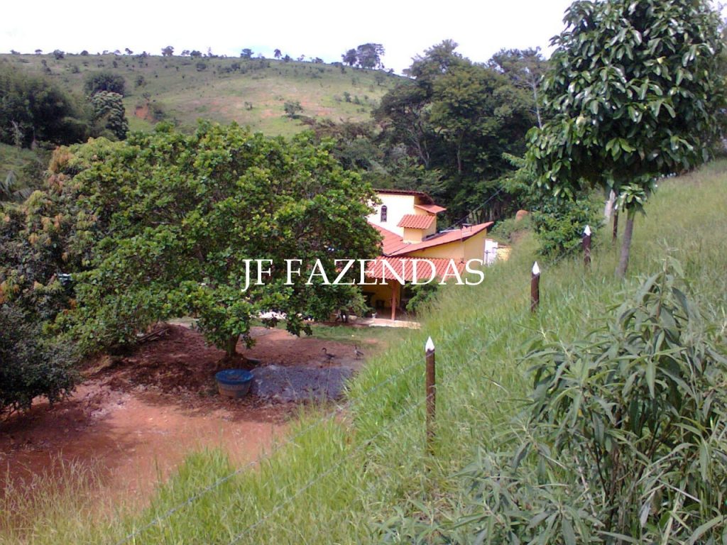 Sítio em Goianá – MG – 5 hectares