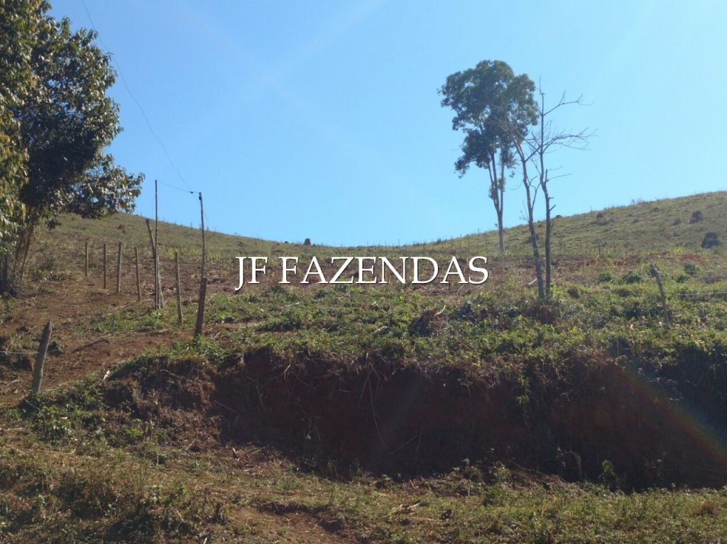 Sitio em Pedro Teixeira/MG – 44 hectares Sitio em Pedro Teixeira/MG – 44 hectares
