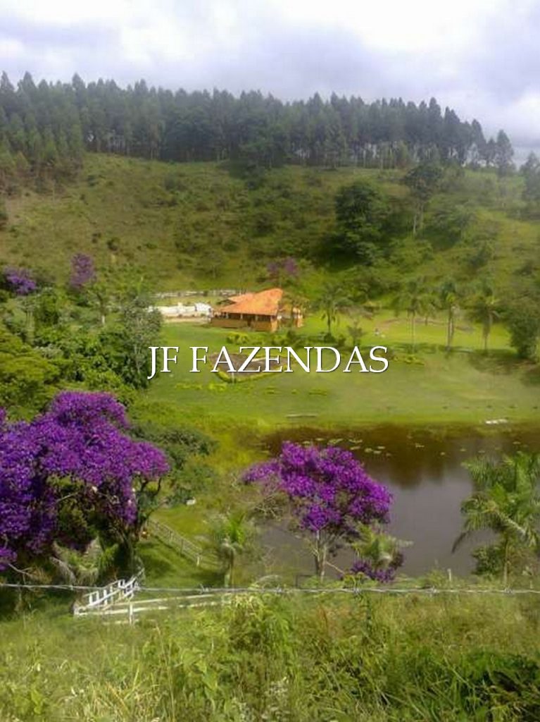 Sitio em Torreões – Juiz de Fora/MG – 80 hectares Sitio em Torreões – Juiz de Fora/MG – 80 hectares