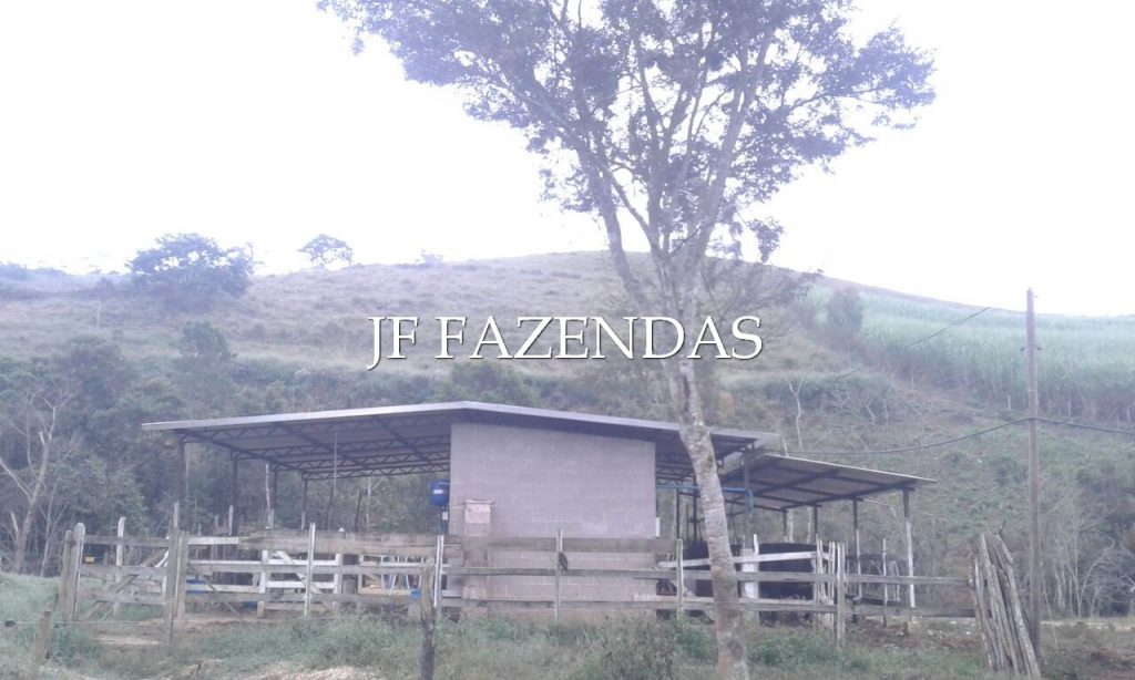 Sitio em Pedro Teixeira/MG – 44 hectares Sitio em Pedro Teixeira/MG – 44 hectares