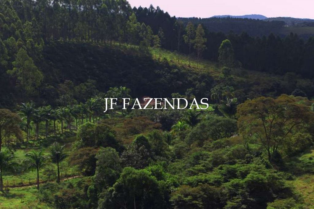 Sitio em Torreões – Juiz de Fora/MG – 80 hectares Sitio em Torreões – Juiz de Fora/MG – 80 hectares