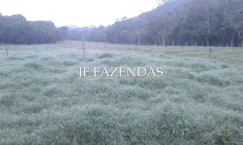 Sitio em Pedro Teixeira/MG – 44 hectares Sitio em Pedro Teixeira/MG – 44 hectares