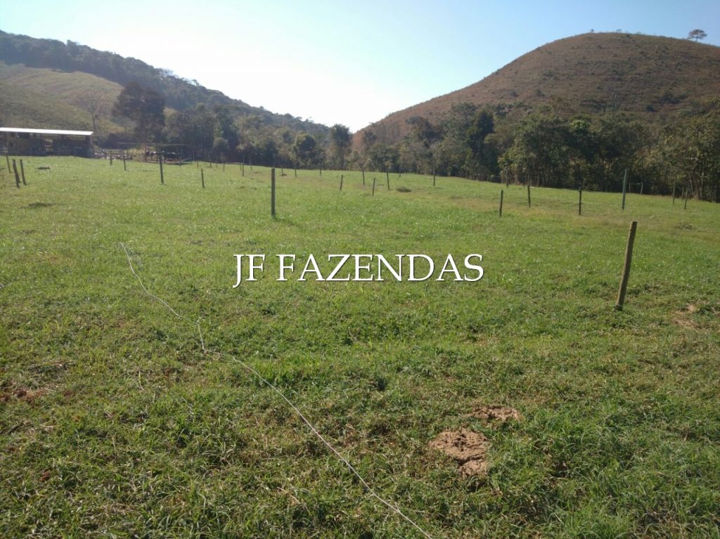 Sitio em Pedro Teixeira/MG – 44 hectares Sitio em Pedro Teixeira/MG – 44 hectares