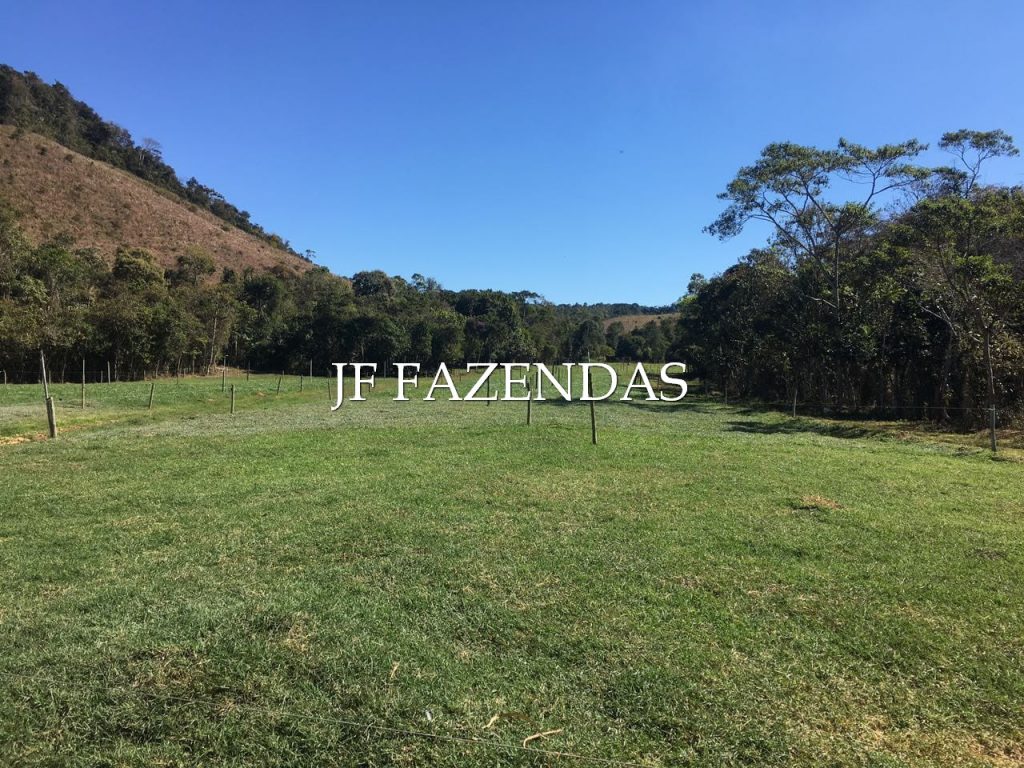 Sitio em Pedro Teixeira/MG – 44 hectares Sitio em Pedro Teixeira/MG – 44 hectares