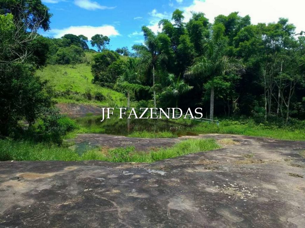 Sitio em Torreões – Juiz de Fora/MG – 80 hectares Sitio em Torreões – Juiz de Fora/MG – 80 hectares