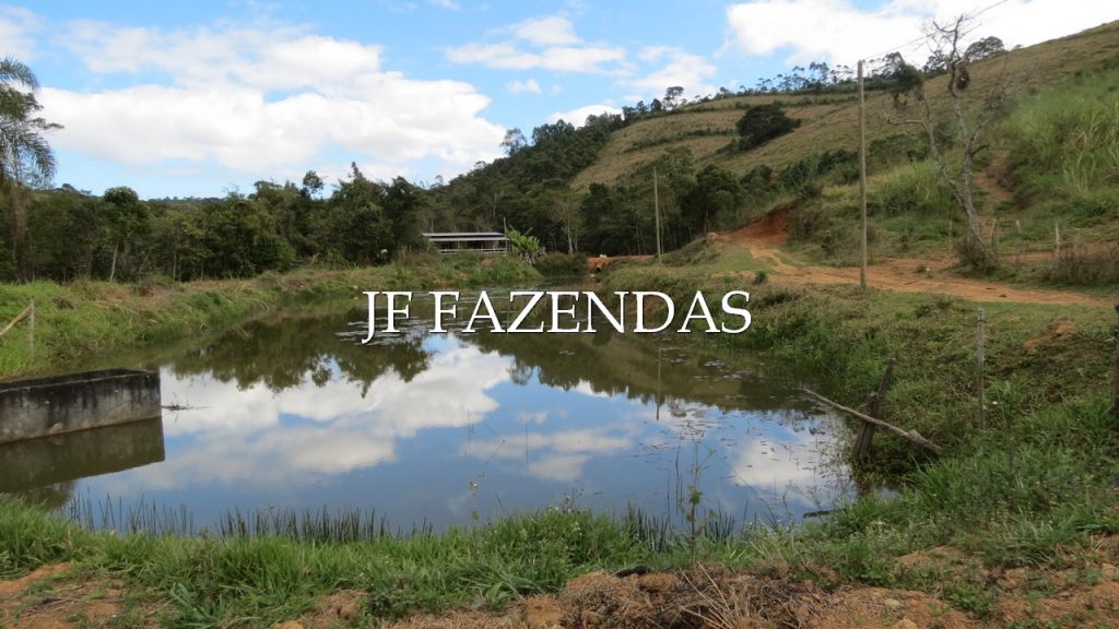Sitio em Pedro Teixeira/MG – 44 hectares Sitio em Pedro Teixeira/MG – 44 hectares