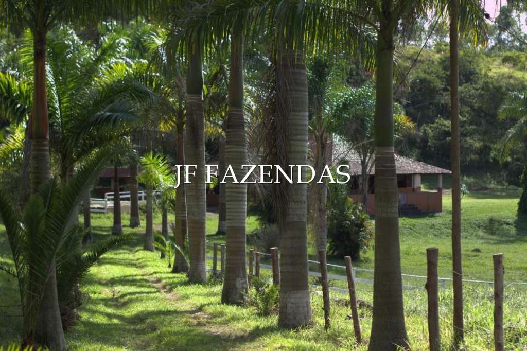 Sitio em Torreões – Juiz de Fora/MG – 80 hectares Sitio em Torreões – Juiz de Fora/MG – 80 hectares