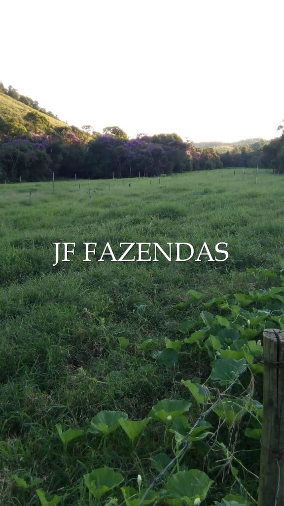 Sitio em Pedro Teixeira/MG – 44 hectares Sitio em Pedro Teixeira/MG – 44 hectares